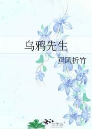 乌鸦先生和蜥蜴先生电视剧免费观看月亮影视